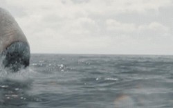 Siêu cá mập uy hiếp Jason Statham có gì khác biệt về những hung thần đại dương?