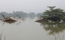 Xót lòng cảnh hoang tàn trong những ngôi nhà ngập nước ở "ốc đảo" Chương Mỹ