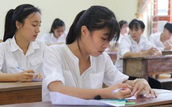 Nghệ An: Sau phúc khảo, 95 bài thi THPT thay đổi điểm