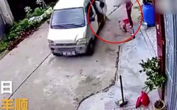 Trung Quốc: Bất ngờ tuyệt chiêu đơn giản "phản đòn" trộm chó