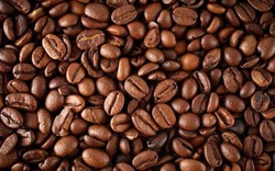 Giá nông sản hôm nay 8/8: Giá cà phê đảo chiều chóng mặt, giá tiêu tăng nhẹ