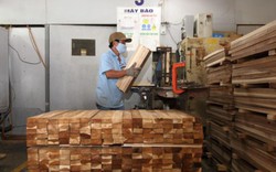Kín đơn hàng đến hết năm, ngành gỗ nắm chắc xuất khẩu 9 tỷ USD
