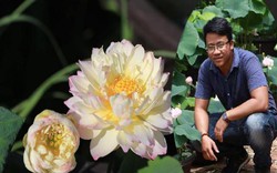 Tuyệt chiêu trồng sen một tháng đã "bắt" trổ bông của 9X xứ Quảng