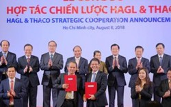 Thaco chi 7.800 tỷ sở hữu 35% vốn HNG và 51% vốn HAGL Myamar