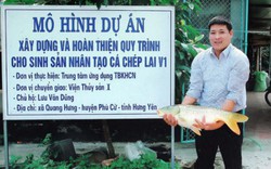 Dùng công nghệ "sông trong ao", nuôi bầy cá nhung nhúc gấp 10 lần