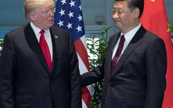 Trung Quốc “ngấm đòn” trừng phạt của Mỹ, nên nhận thua ông Trump?