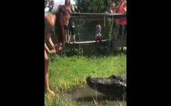 Cô gái liều mạng lội xuống đầm nước dụ cá sấu lên bờ