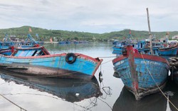 Quảng Ngãi: "Nghĩa địa tàu cá" ở cảng neo đậu Sa Huỳnh