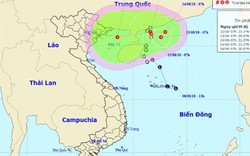 Áp thấp nhiệt đới bất ngờ “bẻ lái”, đường đi hết sức khó lường