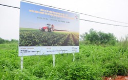 Hà Nội: Xã giao 20ha đất hành lang thoát lũ cho tư nhân làm dự án