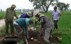 Hội Nông dân “rủ”  cả làng đi… bắt chuột