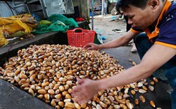 Giá hạt sầu riêng tăng gần 100.000 đồng/kg, tỉnh Lâm Đồng nói gì?