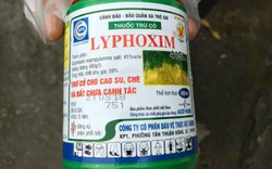 Thuốc diệt cỏ bị kiện gây ung thư tại Mỹ vẫn bán chạy tại Việt Nam