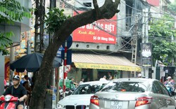 Ảnh: Hàng loạt cây dọa đổ gãy trên phố Hà Nội