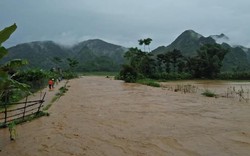 Sơn La: Mưa lớn gây lũ quét cuốn trôi hoa màu, tài sản của dân