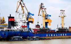 Lỗ luỹ kế gần 3.254 tỷ đồng và bán loạt tàu, Vinalines còn lại gì?