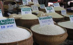 Người Thái, người Ấn giữ giống lúa như thế nào?