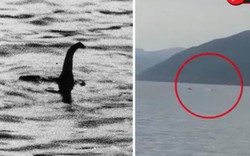 Video: Bằng chứng mới về quái vật hồ Loch Ness huyền thoại