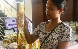 Cô gái Ca Dong thu mua, lập kho dược liệu quý từ núi rừng