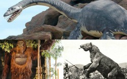 3 quái vật khổng lồ thời tiền sử có thể vẫn sống sót tới ngày nay