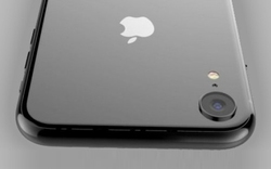 "Hậu duệ" iPhone SE chính là chiếc iPhone 6.1 inch, chắc chắn giá rẻ