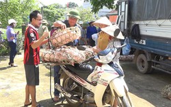 Quảng Ninh: Hội ND trao 150 con lợn giống cho hộ nghèo Ba Chẽ