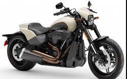 Ra mắt 2019 Harley-Davidson FXDR 114, giá 500 triệu đồng