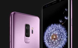 Galaxy S10 có đến 3 phiên bản, dùng máy quét vân tay trên màn hình