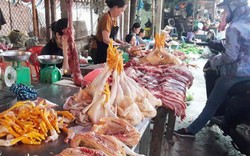 Nghệ An: Sau mưa lũ giá rau xanh, giá heo hơi, cá tăng chóng mặt