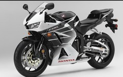 Honda CBR600RR 2019 sắp tái xuất, "dọa nạt " Yamaha YZF-R6