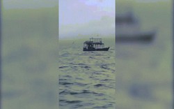 Hàng loạt tàu ma Triều Tiên trôi dạt vào bờ biển Nga
