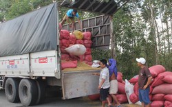 Bị bắt vì ô tô chở quá tải, tông xe vào thanh tra giao thông