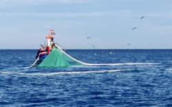 Những “thợ săn” tiền ở vùng biển: Thu về hàng trăm triệu trong 1-2h