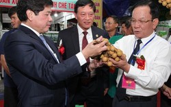 Sơn La: Mê mẩn ngắm 350 gian hàng nông sản đặc sản và xuất khẩu