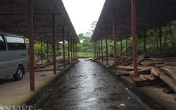 Lãng phí: Những chợ Nông thôn mới tiền tỷ hoang phế ở Phú Thọ