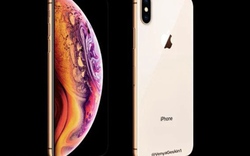 Ý tưởng iPhone XS 6,5 inch đẹp khó cưỡng, có bản màu vàng