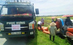 Nghệ An: Gặp lão "gàn" chuyên chở lúa miễn phí giúp thiên hạ