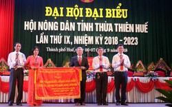 Hội tiếp sức cho nông dân  thoát nghèo, làm giàu