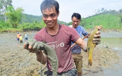 Quảng Nam: Cả làng hò nhau đi bắt cá đồng, vui như hội