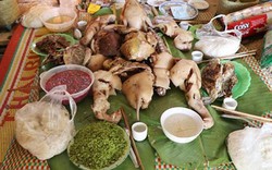 Hội mừng cơm mới của người Thái trắng ngày trùng cửu ở Ngọc Chiến