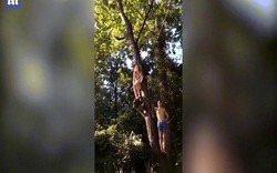 Video cô gái mặc bikini đang đu dây xuống sông thì ngã "dập mặt"