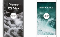 Ngắm loạt iPhone Xr, Xs và Xs Max đẹp long lanh trước giờ lên sóng