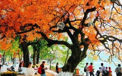 Những chuyến du lịch mùa thu sao có thể bỏ lỡ những điểm đến lãng mạn nhất châu Á này