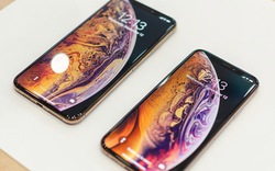 Đâu là màu sắc mà bạn yêu thích nhất trên iPhone mới?