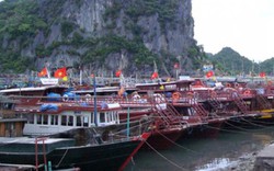 Tin mới nhất về bão số 5: Quảng Ninh không cho tàu thuyền ra khơi