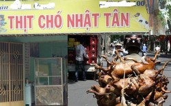 Dấu tích “kinh đô thịt chó” Nhật Tân xưa ở Hà Nội