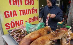 Người dân nói về thói quen ăn thịt chó ở Việt Nam