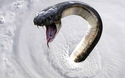 Cảnh báo siêu bão cuốn rắn độc "bay tứ tung" khắp tiểu bang Mỹ