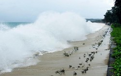 Quảng Ninh: Cấp tập chạy đua phòng chống bão Mangkhut