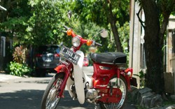 Ngắm huyền thoại Honda Cub 40 năm vẫn mới, đẹp lung linh